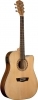 Washburn WD 7 SCE N Washburn WD 7 SCE N